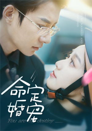 命定婚宠（61集）集免费看短剧