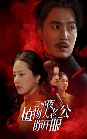 二婚夜植物人老公睁开眼（78集）独家短剧免费看