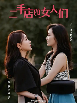 二手店的女人们（66集）口碑爆棚免费看
