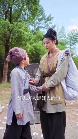 精忠报国（41集）热门火爆短剧