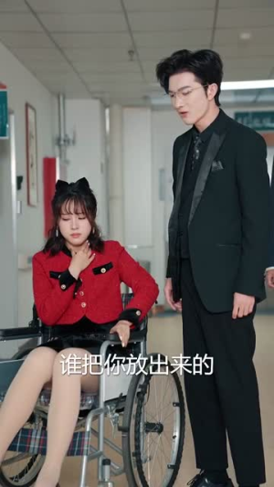 一见倾心（84集）热播短剧来袭