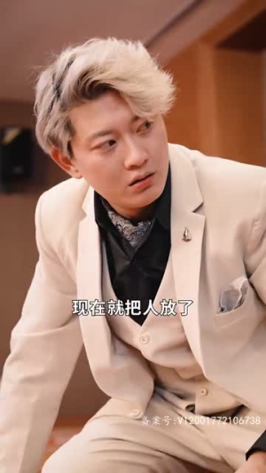 九龙医圣（99集）短剧解说全集