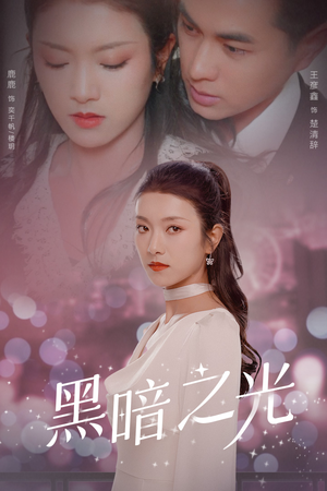 黑暗之光（84集）演的怎么样