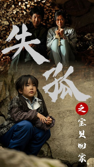 失孤之宝贝回家（71集）在线免费观看