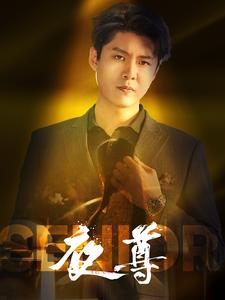 夜尊（95集）一口气看完