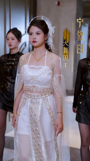 大夏帝骄（84集）口碑爆棚免费看