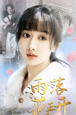 雨落花正开（62集）精彩短剧来袭