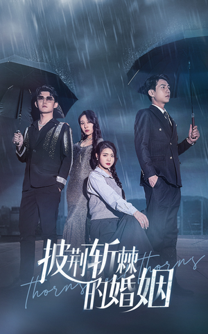 披荆斩棘的婚姻（70集）高分佳作免费看