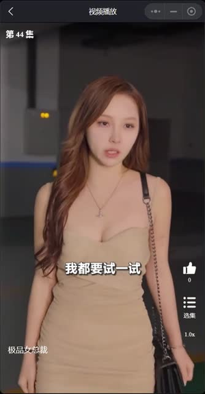 我的富豪美女总裁（我的极品女总裁）短剧在线更新