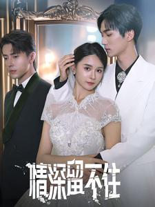 情深留不住（80集）短剧全集免费看