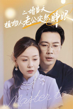 二婚当天植物人老公突然睁眼（40集）免费观看