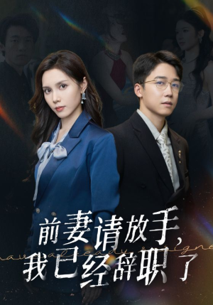 前妻请放手，我已经辞职了（30集）迅雷网盘观看