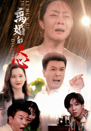 离婚的决心（48集）最后一集