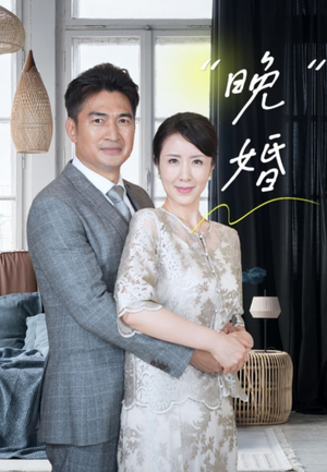 晚婚（65集）口碑爆棚免费看
