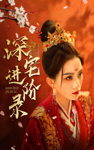深宅进阶录（80集）热门短剧推广