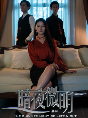 暗夜微明（70集）精彩短剧热播中