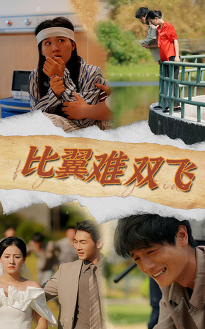 比翼难双飞（30集）爱上了这部剧了