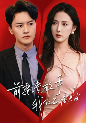前妻请放手，我们已离婚（86集）高分推荐免费看