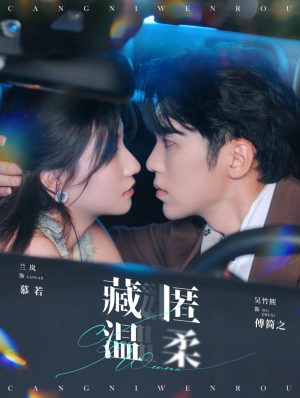 藏匿温柔（99集）第一季
