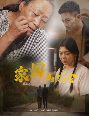家国两难全（62集）1-102集