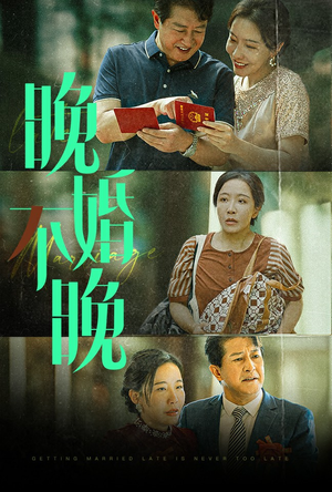 晚婚不晚（30集）每日短剧推荐