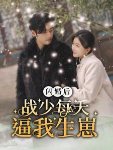 闪婚后战少每天逼我生崽（91集）免费短剧完整版