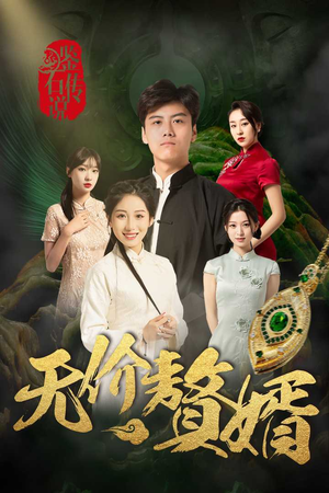 鉴宝传说之无价赘婿（100集）男主角是谁