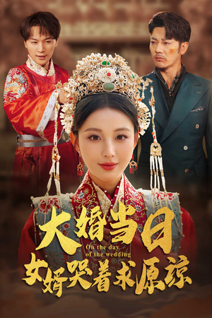 大婚当日，女婿哭着求原谅（31集）免费短剧就是爽