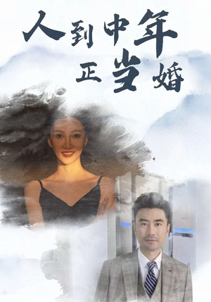人到中年正当婚（81集）热门短剧免费看