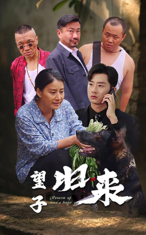 望子归来（50集）完整版
