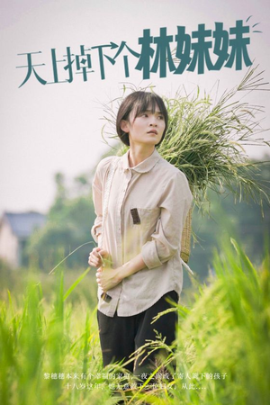 天上掉下个林妹妹（81集）免费版