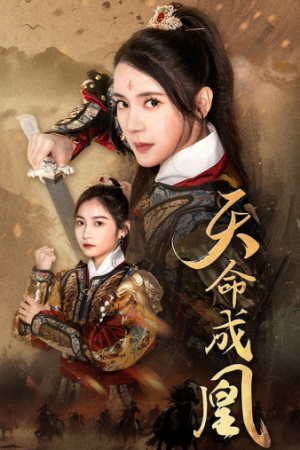 神女妈妈天下无敌（63集）全集下载