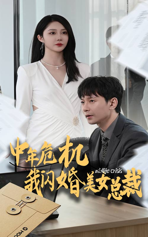 中年危机我闪婚美女总裁（61集）追短剧看全集