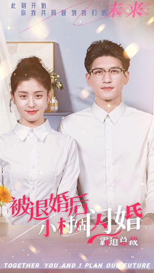 被退婚后，小村姑闪婚霸道总裁（36集）精彩不断免费看