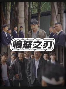 愤怒之刃（35集）在线免费观看