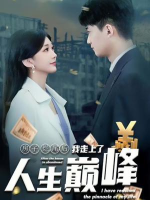 房子烂尾后我走上了人生巅峰（36集）全集免费