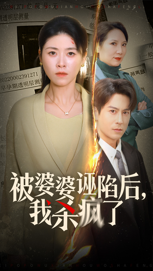 被婆婆诬陷后我杀疯了（30集）一起看短剧