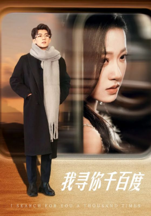 我寻你千百度（39集）在线看免费版