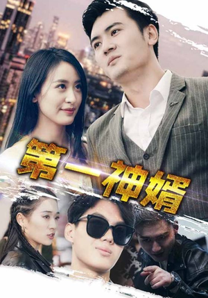 第一神婿（110集）无需会员免费看