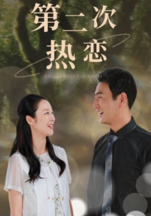 第二次热恋（48集）民国短剧推荐