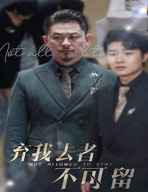 生命它璀璨如歌（60集）火热短剧抢先看