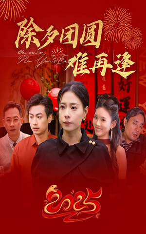 除夕团圆难再逢（54集）女主角是谁