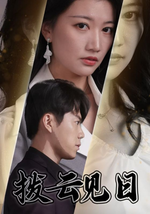 拨云见日（30集）剧情简介