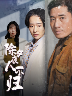 除夕夜人不归（47集）短剧演员排行榜