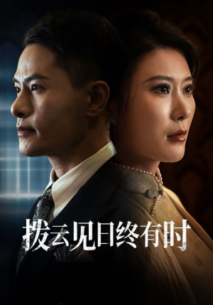 拨云见日终有时（30集）热播短剧排行榜