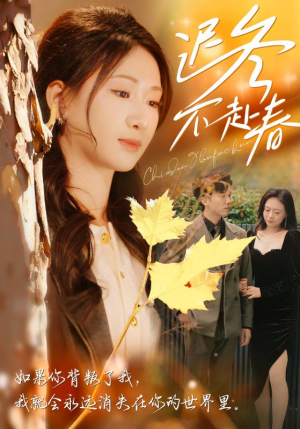 迟冬不赴春（56集）短剧演员排行榜