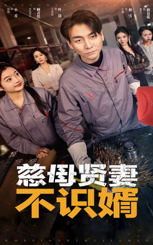 慈母贤妻不识婿（45集）短剧