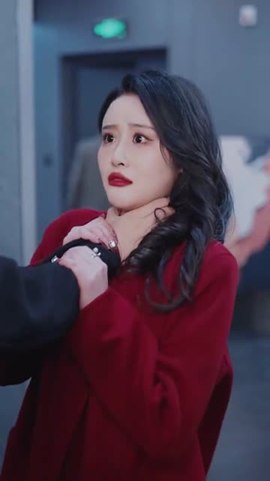粉丝不是韭菜（36集）一共多少集