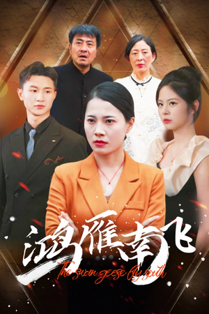 鸿雁南飞（64集）高清画质免费看