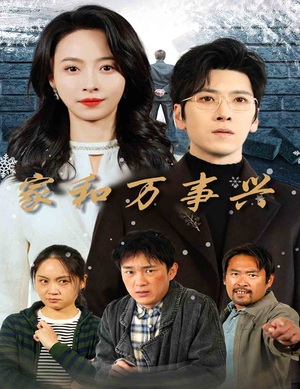家和万事兴（30集）百度网盘资源